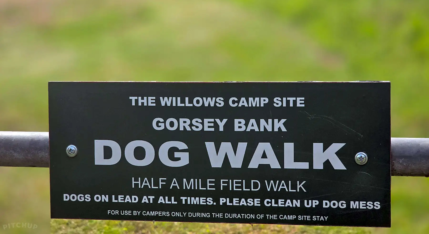 Dog Walking Area